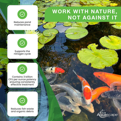 Aquascape 98948 Dry Beneficial Bacteria for Pond and Water Features, 8.8-Ounce
