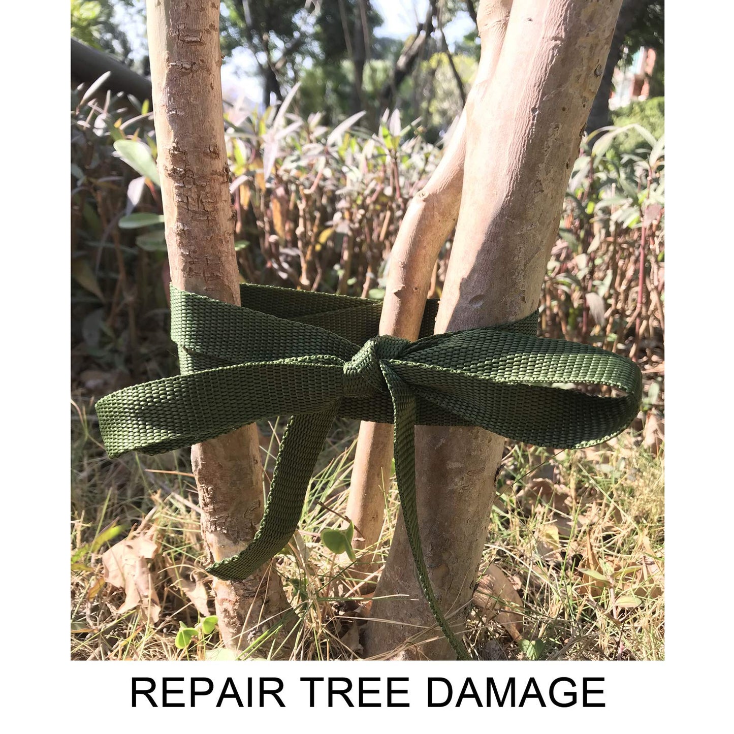 160FT Tree Tie Straps for Staking, Tree and Plant Supports for Effective Growing Green Blend in with Landscaping for Guying Young Trees Straight (1,850 Lbs Strength, Green)