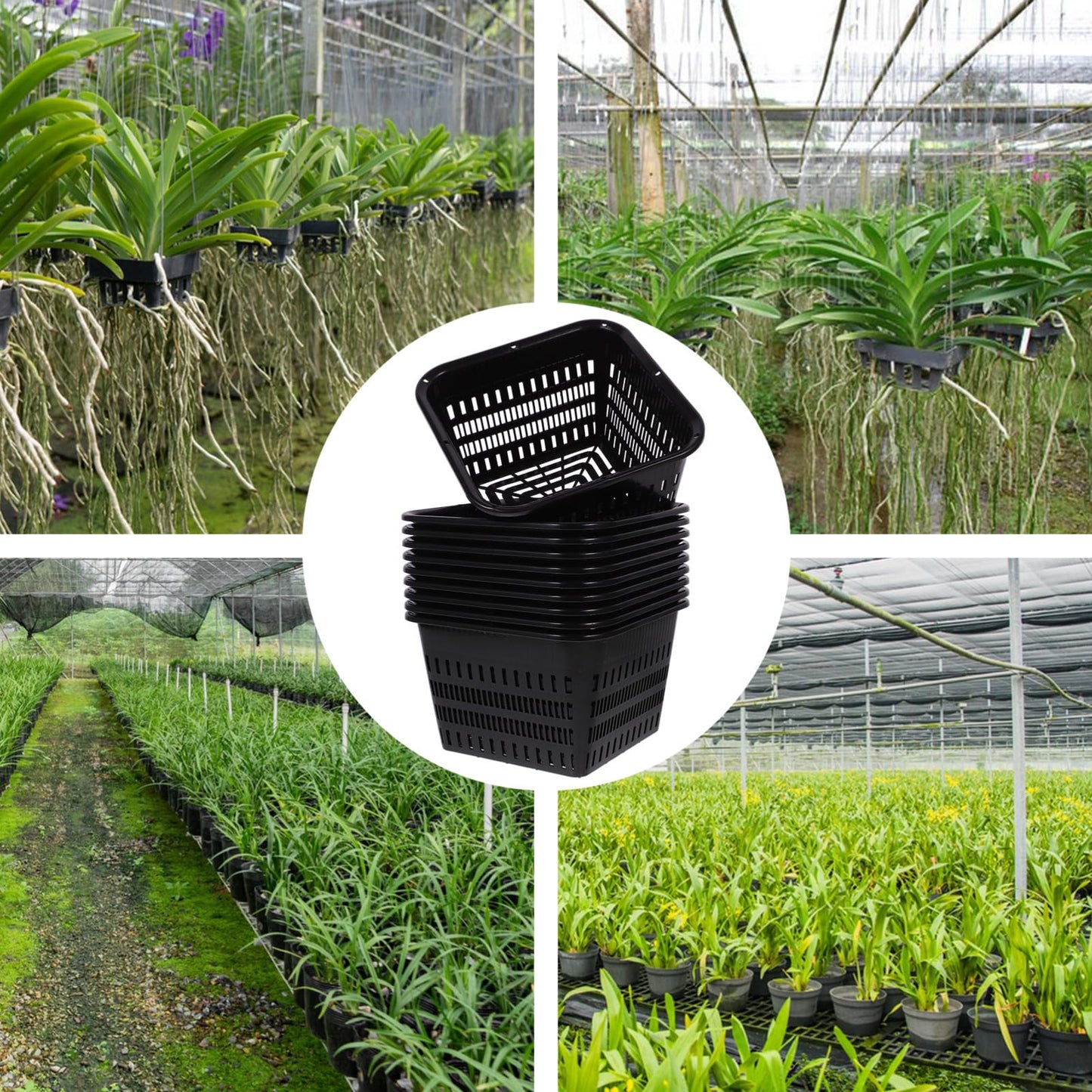 BESPORTBLE Aquatic Plant Basket, 10Pcs Square Mesh Net Pot - Hydroponic Planting Basket for Ponds Fish Tank Hydroponics