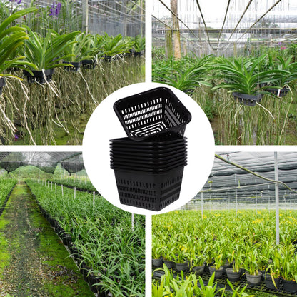 BESPORTBLE Aquatic Plant Basket, 10Pcs Square Mesh Net Pot - Hydroponic Planting Basket for Ponds Fish Tank Hydroponics