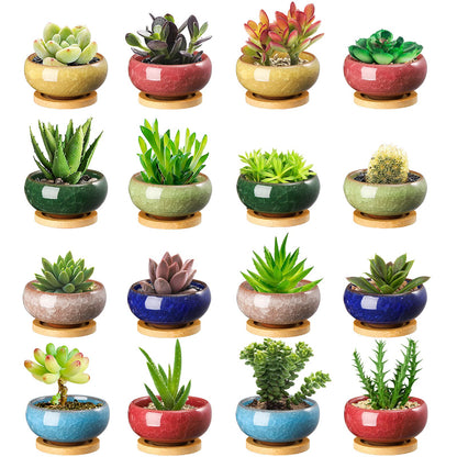 TOPZEA 16 Pack Mini Ceramic Succulent Planter Pot, 2.5 Inch Ice Crack Cactus Seed Starter Pots Micro Landscape Planter with Drainage Hole & Bamboo Tray for Moss Plant, Baby Succulent, Herb
