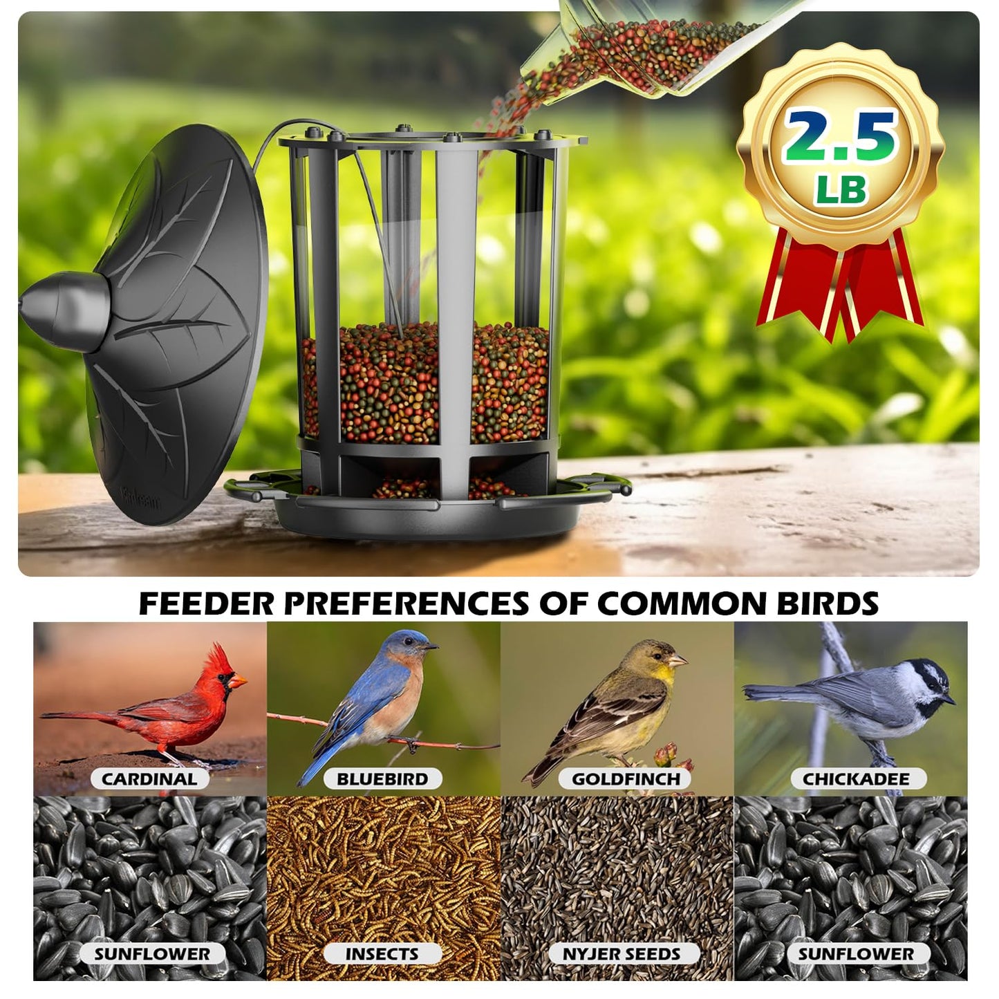 Birdream Bird Feeders for Outdoor Hanging, Classic Castle Design Fun Assembly Squirrel Proof Bird Feeders, Attracting Wild Birds Cardinals Goldfinches Chickadees Finches Sparrows