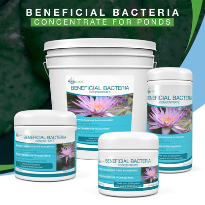 Aquascape 98948 Dry Beneficial Bacteria for Pond and Water Features, 8.8-Ounce
