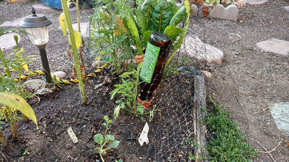 6PCS Plant Self Watering Spikes Wine Bottle Stake Automatic Terracotta Watering Stakes for Vacation Plant Watering Device Self Irrigation Watering System for Indoor & Outdoor Plants