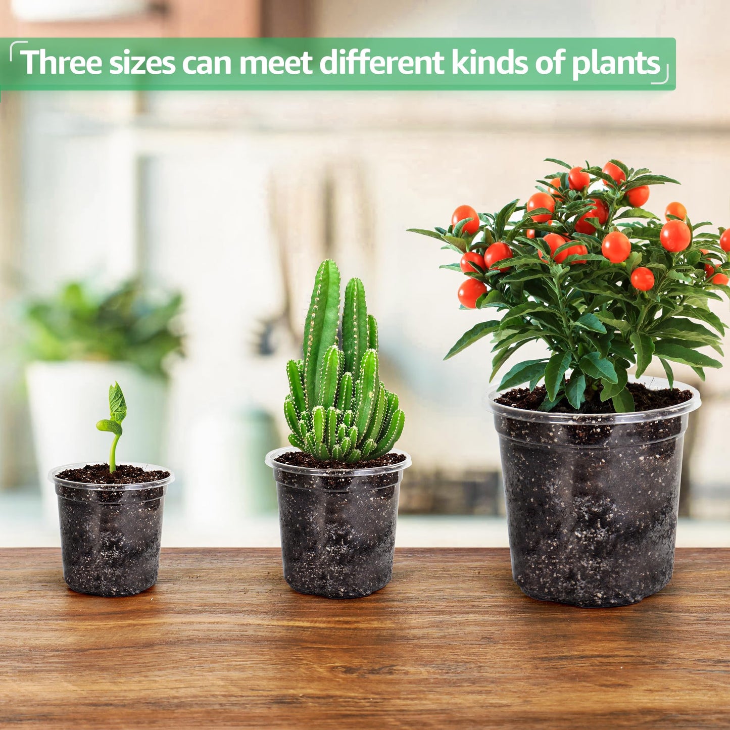 36 Packs 5/4/3.5 Inch Reinforced Clear Nursery Pots with Drainage Hole, Transparent Variety Pack Plastic Plant Pot Seedling Planter Seed Starter Flower 20pcs Labels