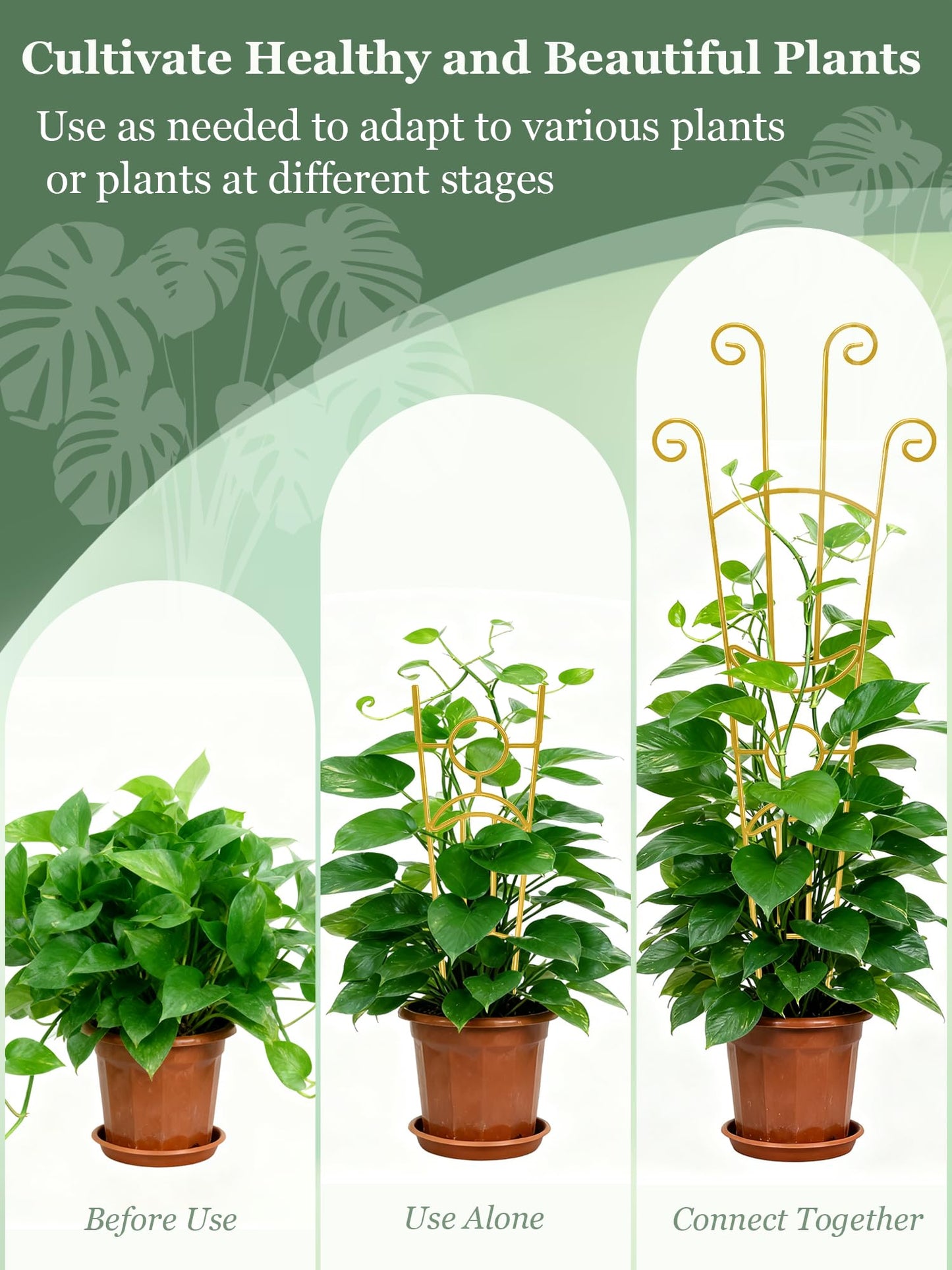 2 Pack Large Metal Trellis for Potted Plants, 33 Inch Monstera Plant Support Stakes for Indoor Climbing Plants, Expandable Garden Pothos Vine Snake Climber Outdoor(Gold)