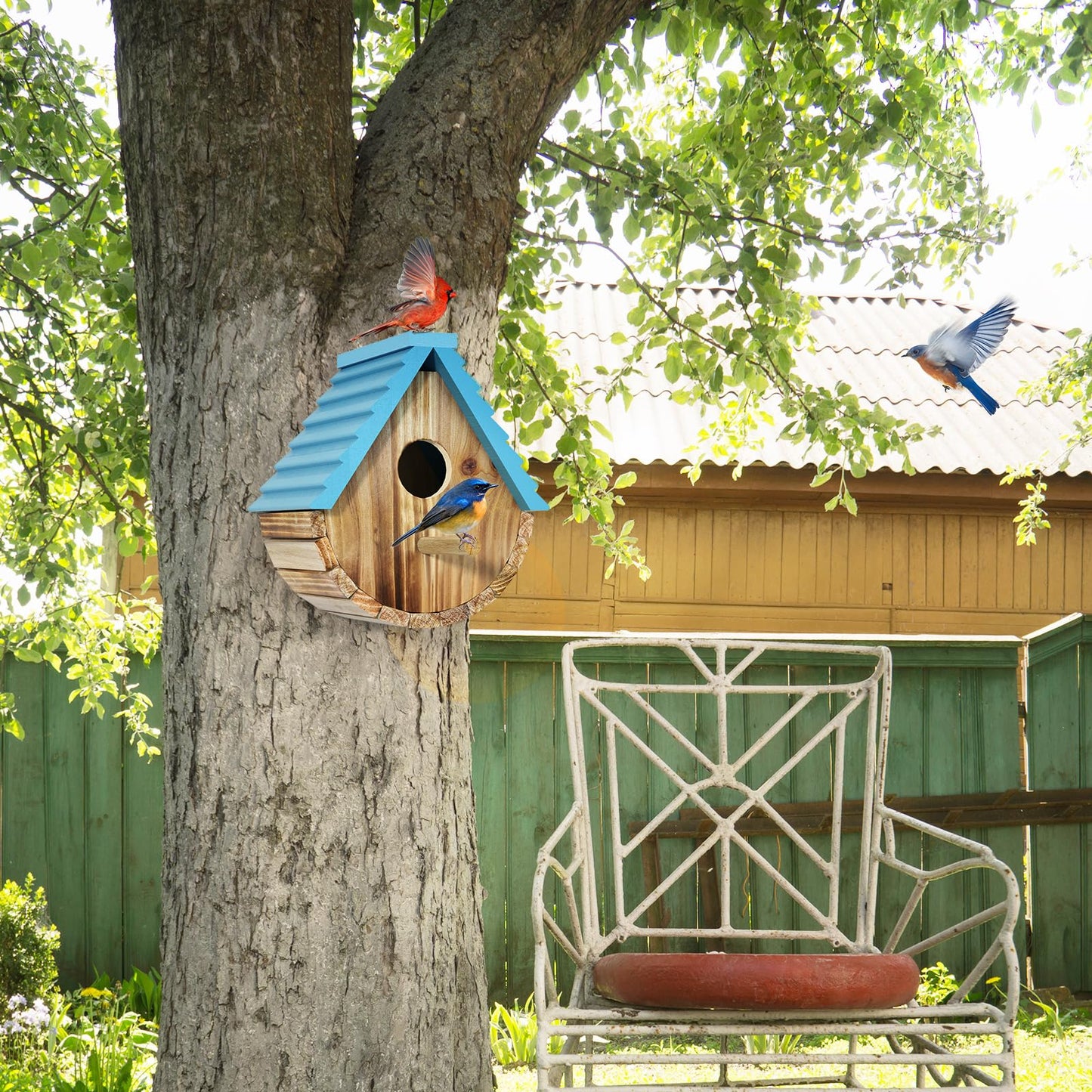 Bird House, Auslar Wooden Bird Houses for Outside, Birdhouse for Outdoors, Hanging Bluebird House for Cardinals Finch Wren Swallow for Garden Viewing