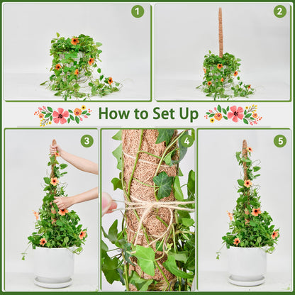 Bendable Moss Pole for Plants, SproutMaven 2 x 48 Inch Monstera Plant Stakes for Climbing Plants