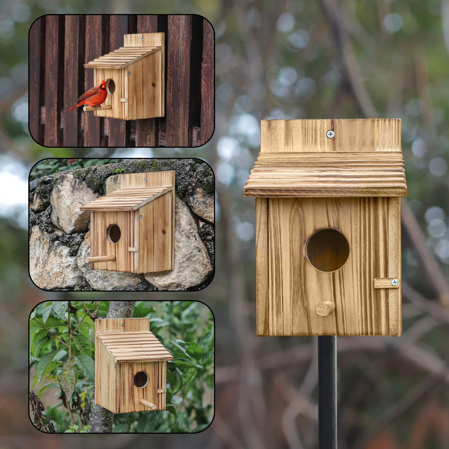 Bird Houses for Outside，Wooden Birdhouse with Open House Design - Perfect Nesting Box for Bluebirds - Ideal for Outside - Blue Bird House for Outdoor Clearance