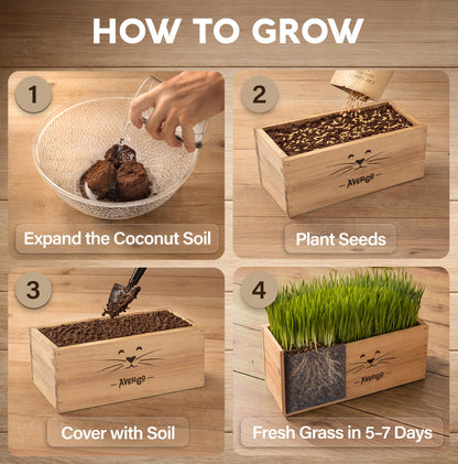 Cat Grass Kit for Indoor Cats – x4 Seed Packets | Cat Grass Seeds with Wooden Planter, Soil & Mini Gardening Tools for Nipping – Pet Wheatgrass Grass