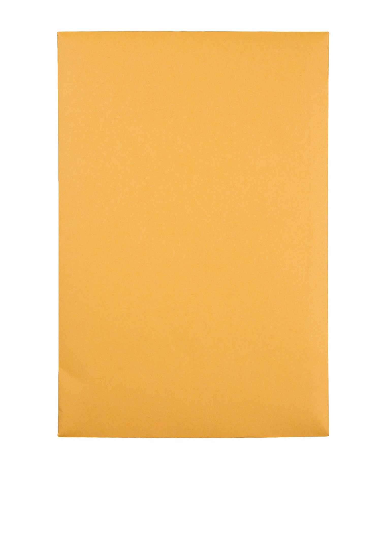 Quality Park Redi-Seal 6 X 9 Inch Kraft Catalog Envelopes 100 Count (43167)