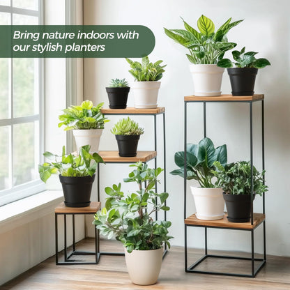 T4U 6.3 Inch Plant Pots 8 Pack, Planters with Drainage and Saucers for Gardening Enthusiasts, Indoor Outdoor Patio Decor for Snake Plants, Herbs, Aloe and Ivy(White)