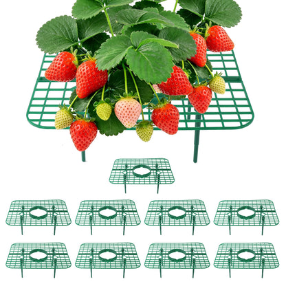 CNNIK 10 Pack Strawberry Plant Supports, Square Growing Frame to Keep Berries Off the Ground, Easy-Assembly Garden Plant Stand