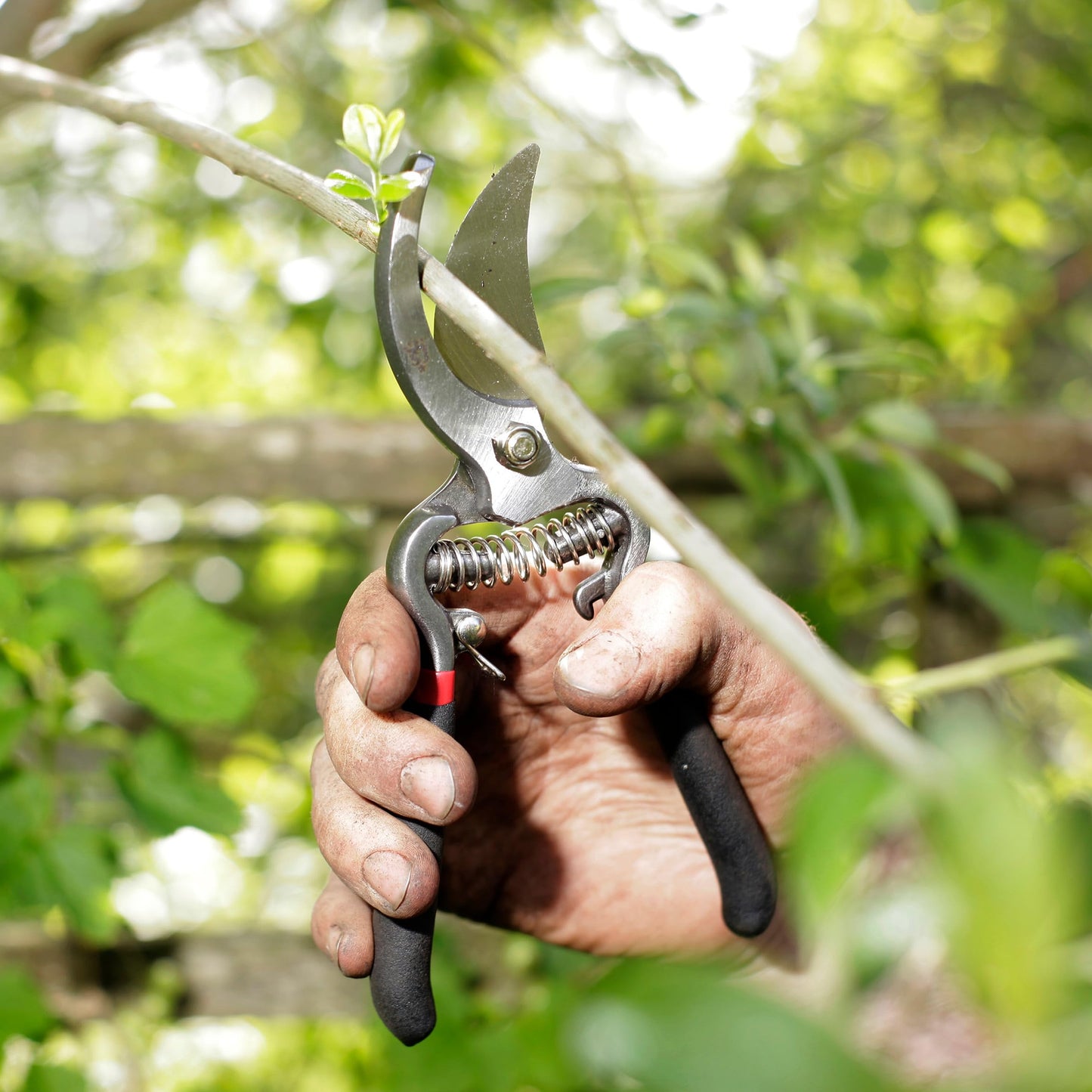 Spear & Jackson Traditional Bypass and Anvil Secateurs Set