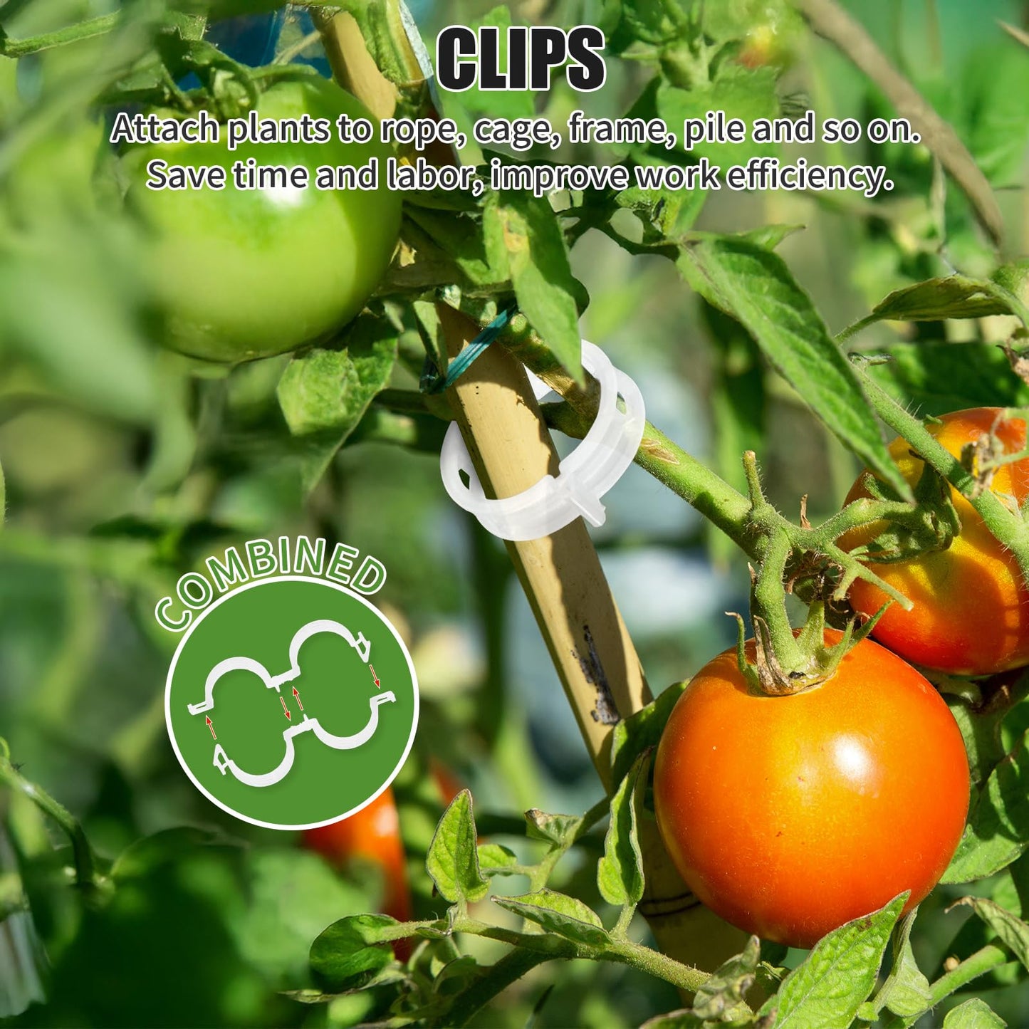 30pcs Tomato Hooks with String, 60pcs Tomato Plant Support Clips, 100 Pcs J-Hook, Tomato Holder Hooks with 33.3ft Tomato Twine for Climbing Plants Tomato Cucumber Cherry Vegetable