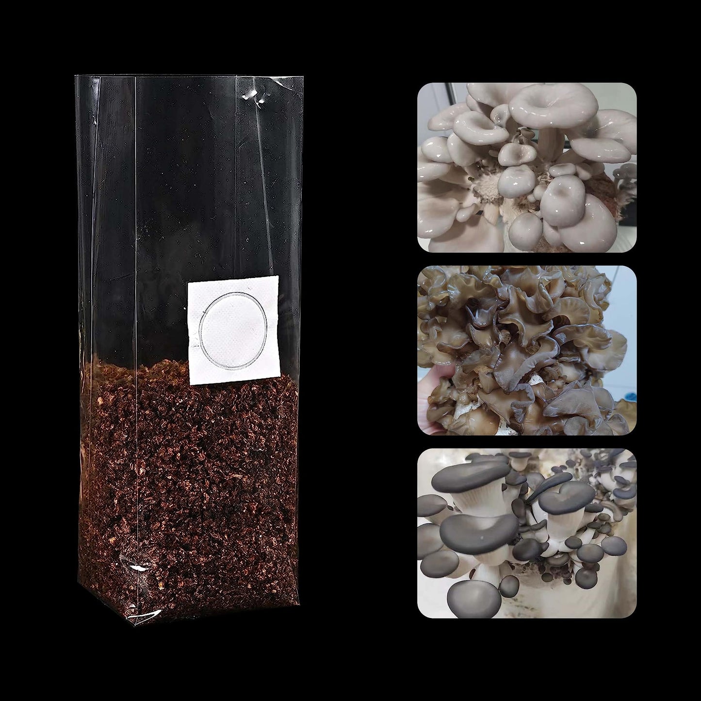 TEXALAN(R) Mushroom Grow Bags with 0.5 Micron Filter 3 Mil Polypropylene for Substrate Autoclavable Mushroom Cultivation 8"X5"X19", 30 PCS