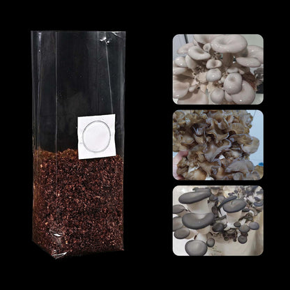 TEXALAN(R) Mushroom Grow Bags with 0.5 Micron Filter 3 Mil Polypropylene for Substrate Autoclavable Mushroom Cultivation 8"X5"X19", 30 PCS