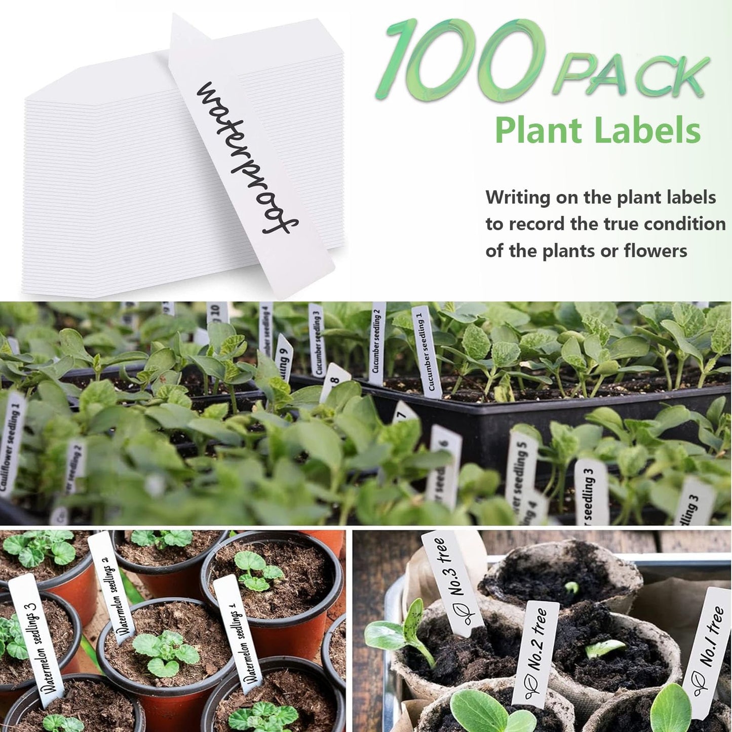 251PCS Seed Pod Kit for Aerogarden, Hydroponics Growing System for Garden Indoor, Grow Anything Kit for Hydroponics, 60 Grow Sponges, 60 Pod Labels, 15 Baskets, 15 Domes,100 Plant Labels, 1 Tweezers