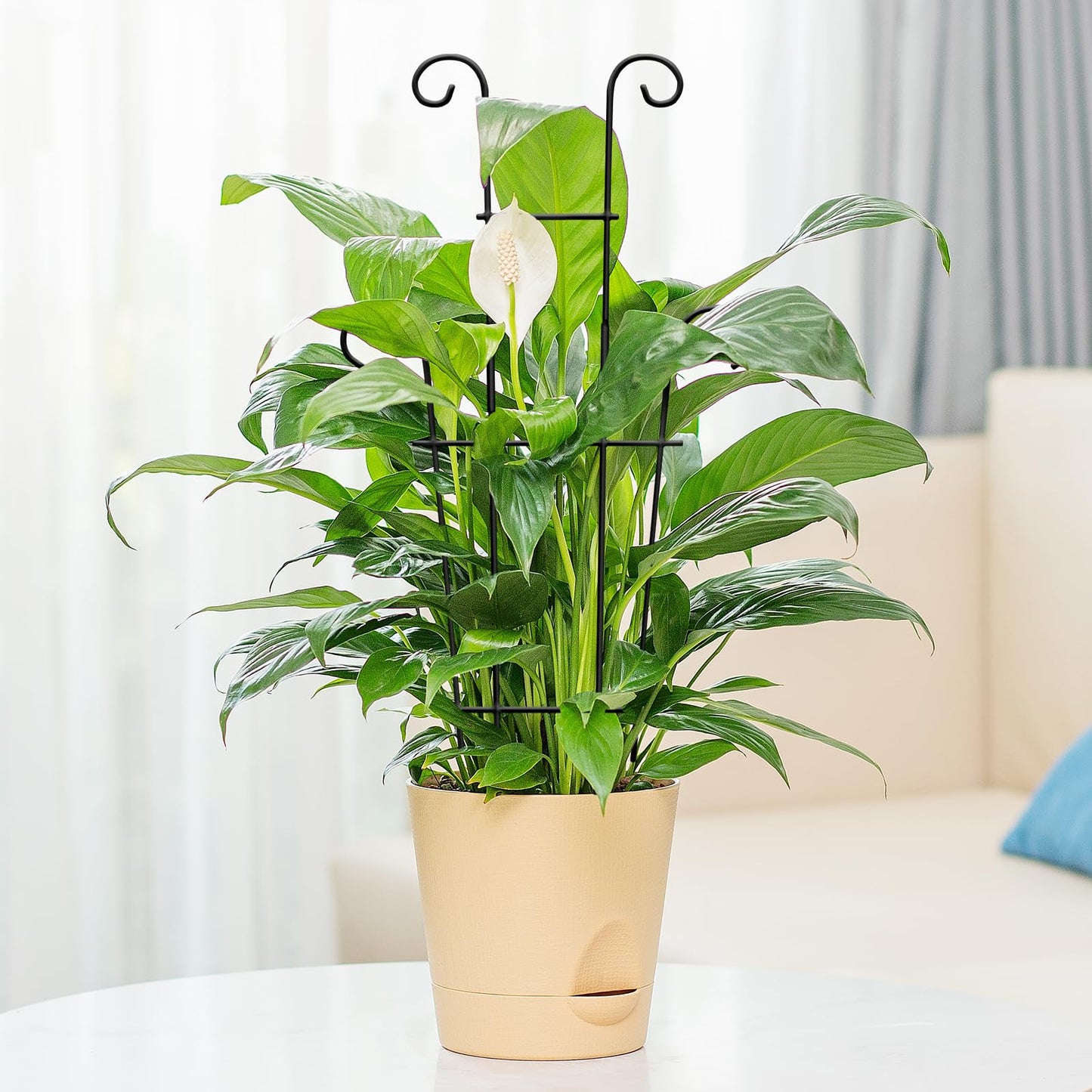 Xeeol 23in Plant Trellis for Potted Plants, Garden Trellis for Climbing Plants Indoor Outdoor 2p, Rustproof House Plant Support for Pothos Hoya Ivy Flower