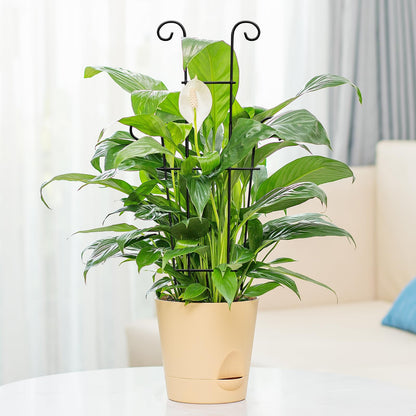 Xeeol 23in Plant Trellis for Potted Plants, Garden Trellis for Climbing Plants Indoor Outdoor 2p, Rustproof House Plant Support for Pothos Hoya Ivy Flower