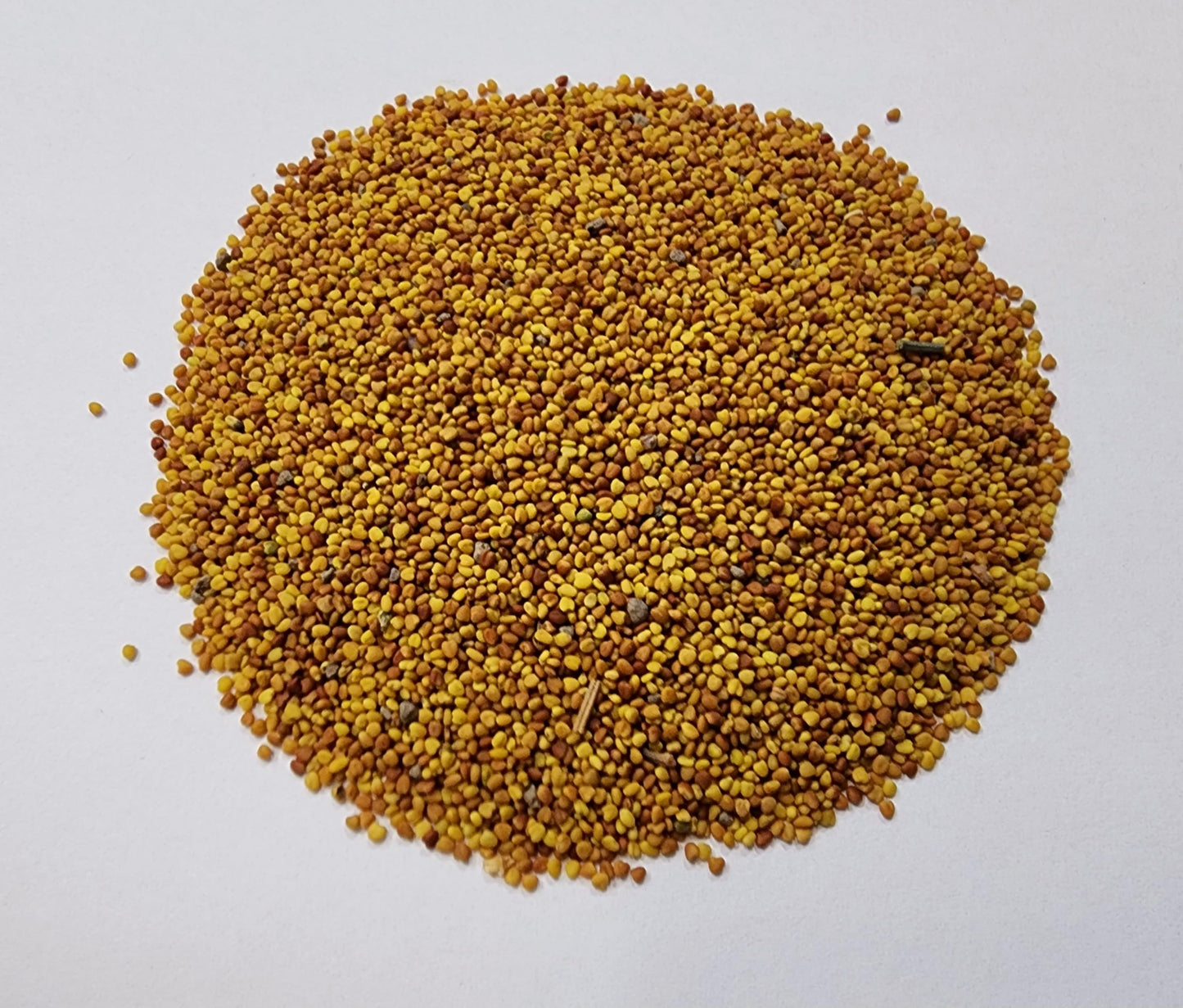1 Pound Dutch Lawn White Clover Seed - White Clover Seeds for Lawn Canada (450 g)