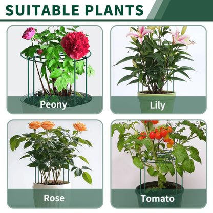 SYITCUN Peony Cages and Supports, 10x16 Inch 4-Pack Compact Metal Plant Cages, 3mm Green Powder Coated Garden Stake for Peonies, Roses, Dahlias