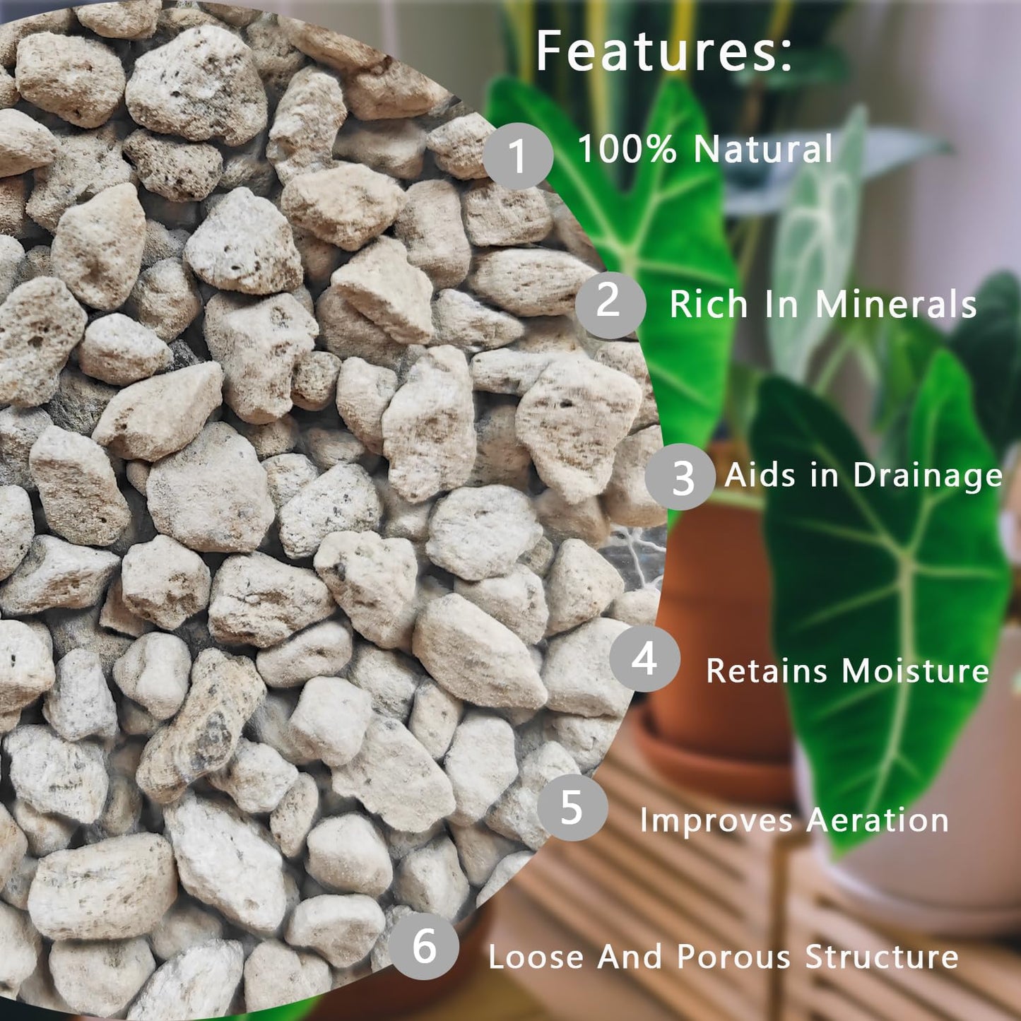 Pierre Ponice Naturelle Pour Plantes – Substrat Drainant Pour Succulentes, Cactus, Bonsaïs et Orchidées | Améliore l'Aération du Sol, Rétention D'eau 55%, pH Neutre (Sac 5 QT)