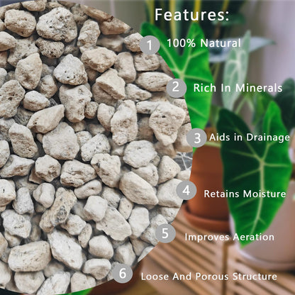 Pierre Ponice Naturelle Pour Plantes – Substrat Drainant Pour Succulentes, Cactus, Bonsaïs et Orchidées | Améliore l'Aération du Sol, Rétention D'eau 55%, pH Neutre (Sac 5 QT)