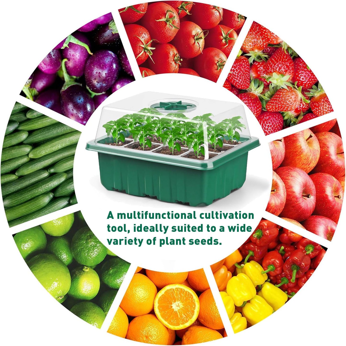 Seed Trays, 10 Pack Plant Seed Starter Tray with Humidity Domes, 120 Cells Total + Planting Tools & Labels, Reusable Indoor Seedling Germination Kit