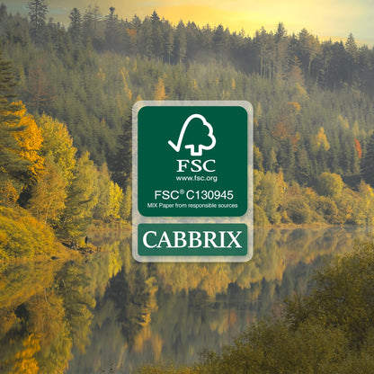 Cabbrix Desk Calendar 2026 with Desktop Mat, Desk Pad Calendar 15"x 12" From January 2026 to June 2027, Desk Calendar for Home Office and School, Easy Planning (Apricot)