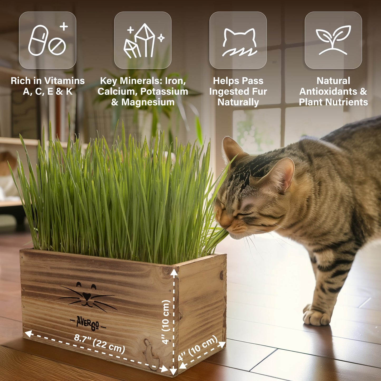 Cat Grass Kit for Indoor Cats – x4 Seed Packets | Cat Grass Seeds with Wooden Planter, Soil & Mini Gardening Tools for Nipping – Pet Wheatgrass Grass