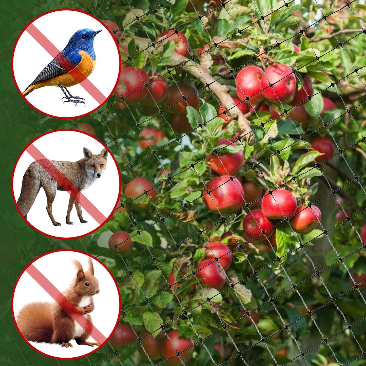 BEAUGIREW Garden Netting 7 x 100 ft Durable Bird Netting for Garden Heavy Duty Wire Mesh Net Fencing Protect Plants Fruits Trees from Birds Deer Poultry with 50 x Mounting Straps and 10 x Spikes