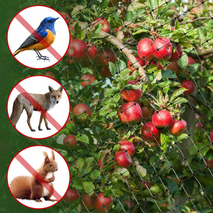 BEAUGIREW Garden Netting 7 x 100 ft Durable Bird Netting for Garden Heavy Duty Wire Mesh Net Fencing Protect Plants Fruits Trees from Birds Deer Poultry with 50 x Mounting Straps and 10 x Spikes
