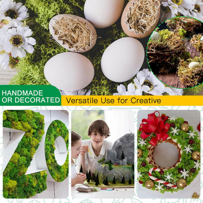 XIEJ Moss - Moss for Plants in 6 Colours, 240g Preserved Moss, Real Durable Natural Decorative Moss for Moss Picture Crafting/Decoration and Model Making Easter Decoration