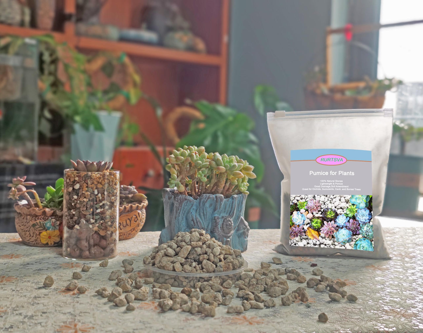 Pierre Ponice Naturelle Pour Plantes – Substrat Drainant Pour Succulentes, Cactus, Bonsaïs et Orchidées | Améliore l'Aération du Sol, Rétention D'eau 55%, pH Neutre (Sac 5 QT)