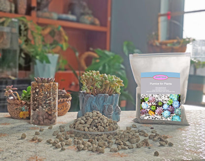 Pierre Ponice Naturelle Pour Plantes – Substrat Drainant Pour Succulentes, Cactus, Bonsaïs et Orchidées | Améliore l'Aération du Sol, Rétention D'eau 55%, pH Neutre (Sac 5 QT)