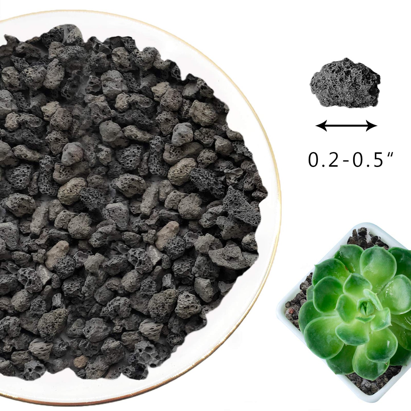 5LBS Black Lava Rocks for Plants -100% Pure Volcanic Rock No Dyes or Chemicals-Best Lava Stones Top Dressing for Cacti Succulents Plants,Bonsai-5lbs