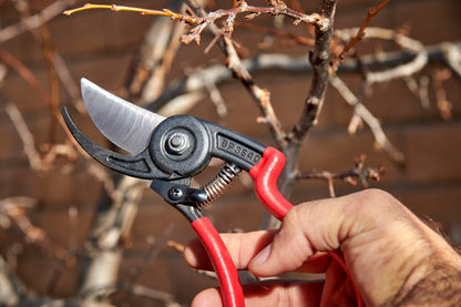 Corona BP 3640 Ergo-Action Forged Bypass Pruner, 3/4-Inch Cut