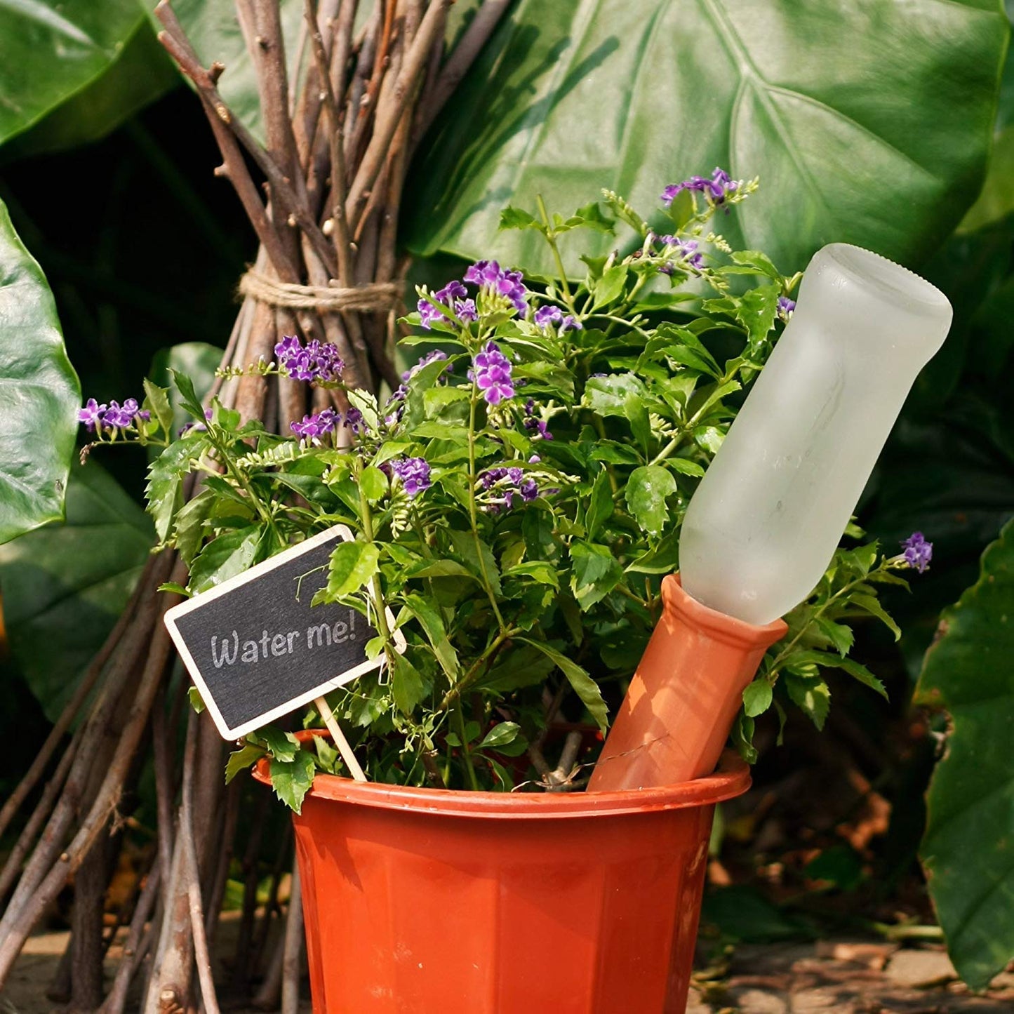 6PCS Plant Self Watering Spikes Wine Bottle Stake Automatic Terracotta Watering Stakes for Vacation Plant Watering Device Self Irrigation Watering System for Indoor & Outdoor Plants