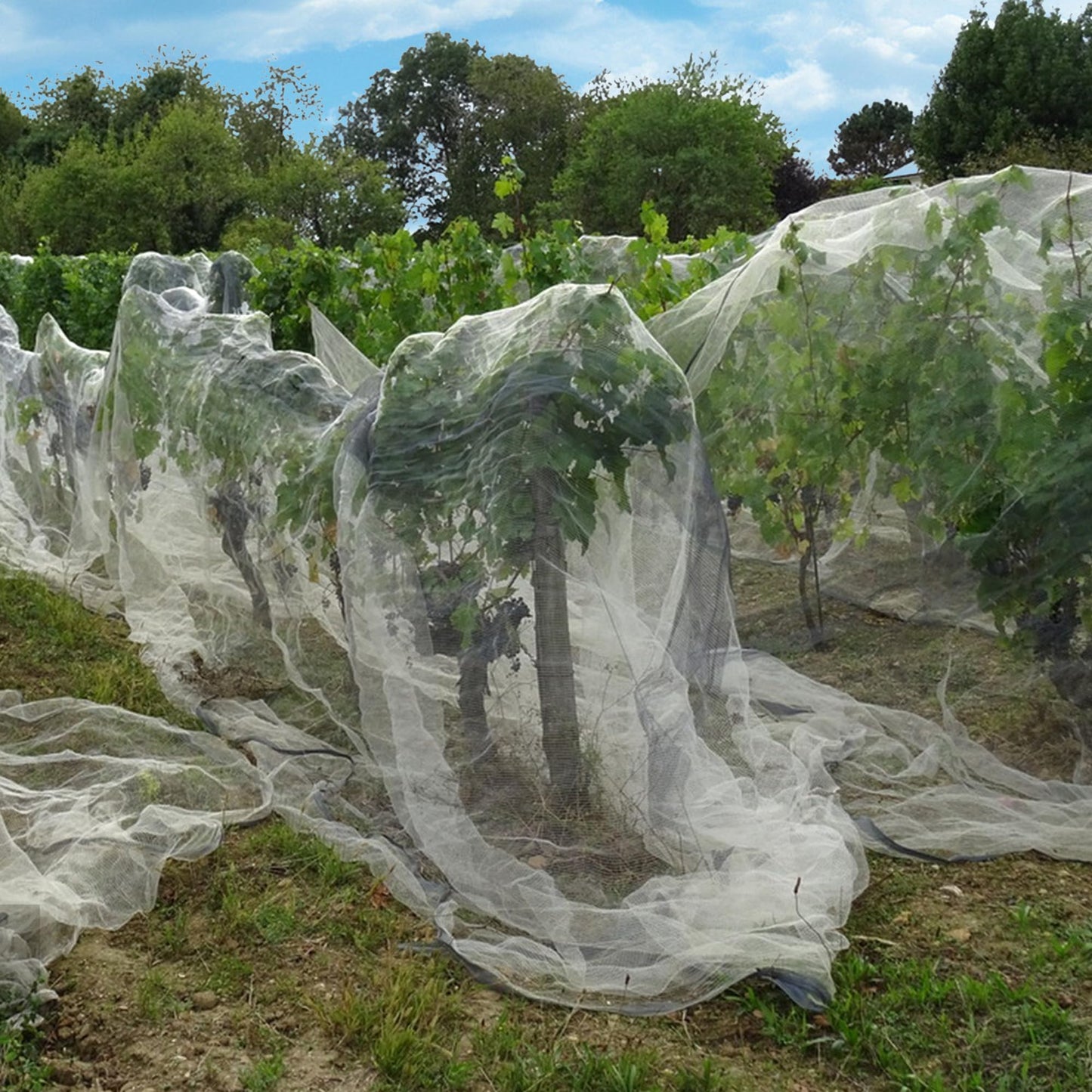 20x10 Feet Insect Bird Barrier Netting Mesh- Garden Bug Netting Plant Cover for Protect Vegetable Plant Fruits Flower from Insect Bird Eating