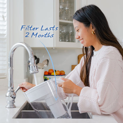 Single Replacement MINA Alkaline Water Filter by Santevia | Single At Home Water Pitcher Filter Adds Minerals and Makes Alkaline Water | Chlorine and Lead Water Filter | Made In Canada