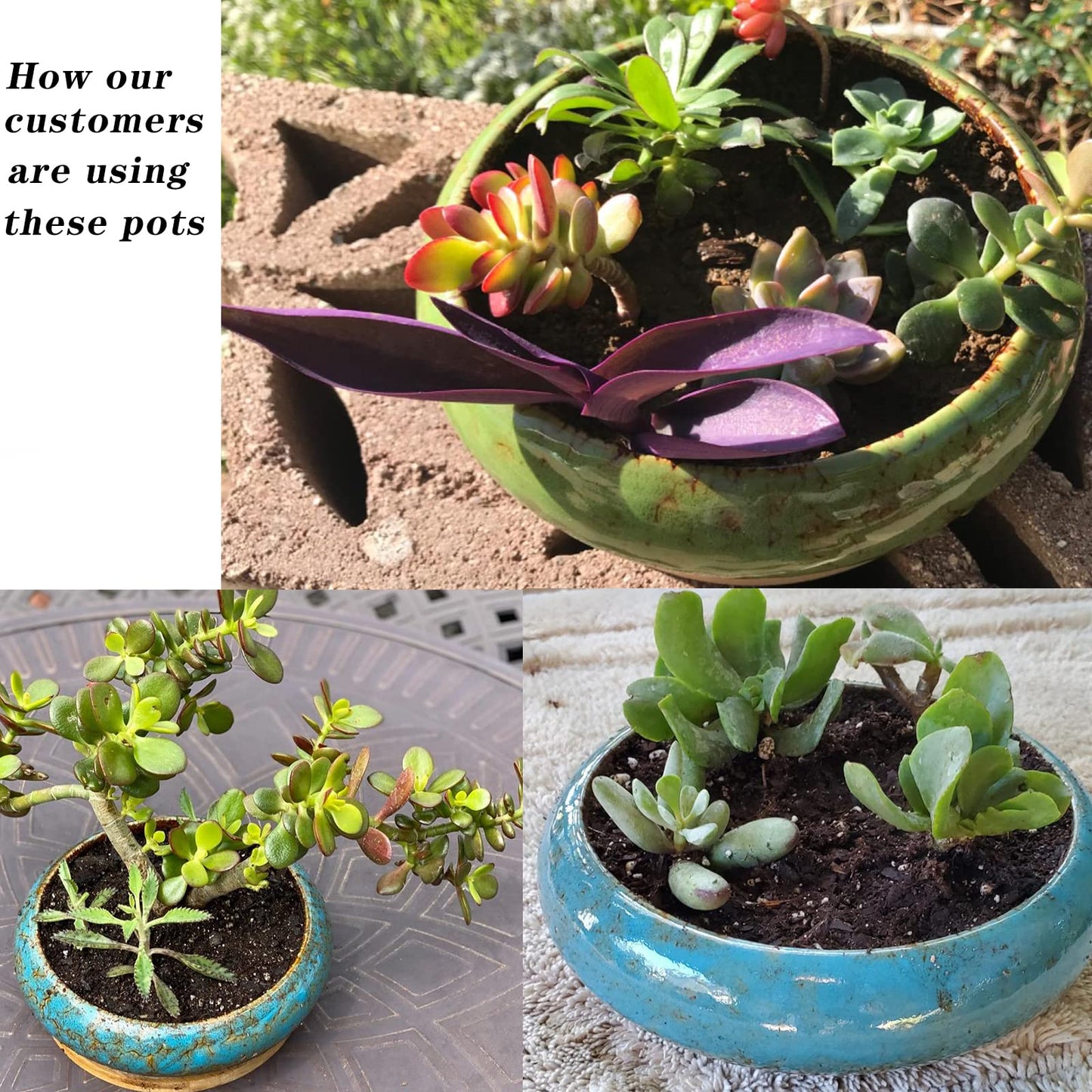 Succulent Pot - 10 Inch Large Plant Pots with Drainage Shallow Bonsai Pot with Stand, Ceramic Flower Pot for Indoor Cactus Succulent Planter Bowl Decorative Garden Home Office