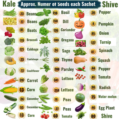 THUNDERBAY-GBSE Vegetable & Herb Seed Variety Pack of 37 Heirloom Sachets Approx. 5200 Seeds(100% Non GMO,37 Individually Packed Sachets, 37 Planting Tags) 37 sachets d'herbes et de légumes