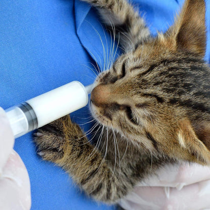 30 Pack Syringes Without Needle, 20 ml Syringe with Cap, Individually Sealed Large Plastic Syringe for Scientific Labs, Jello Shot, Lip Gloss, Food, Pet Feeding, Liquid Refilling, DIY Crafts