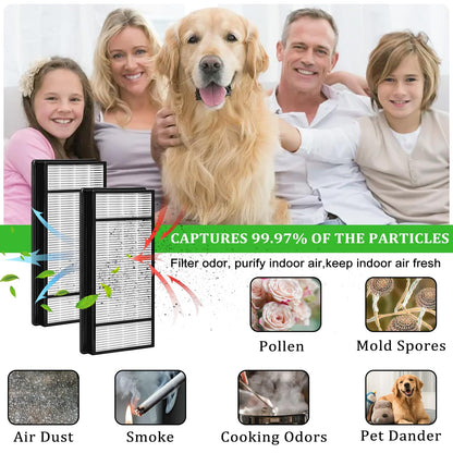 2 True HEPA Replacement Filter H and 4 Carbon Pre Filter B Compatible with Honeywell Filter H HRF-H1 HRF-H2,Compatible with Honeywell HPA050,HPA060,HPA150,HPA160,HHT055,HHT155 Series Air Purifiers