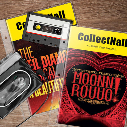 6 x 9 Brochure Sleeves, 50 Pack, Page Protectors for Broadway Play Programs and Theater Programs, Top-Loading Sheet Protectors