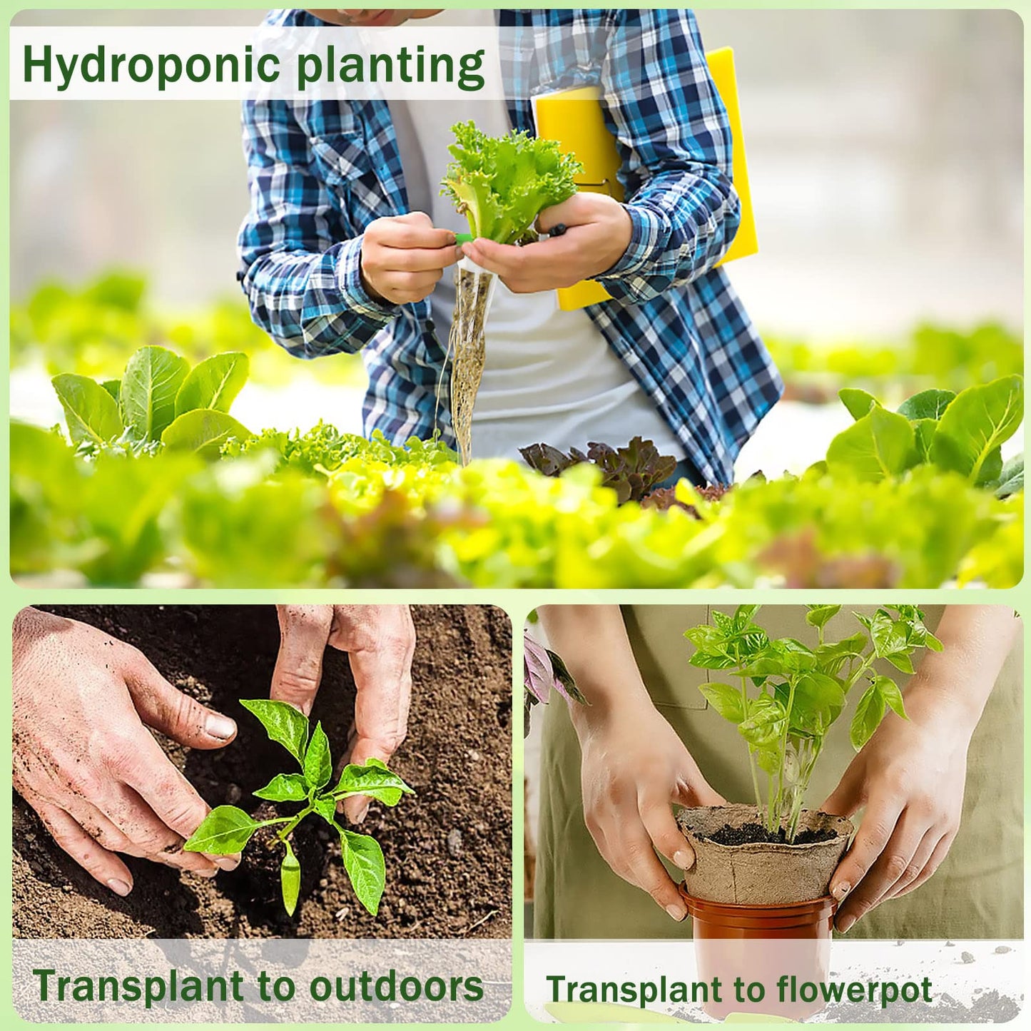 DECYOOL Garden Seed Pods, 148pcs Hydroponic Pods Kit:Grow Anything Kit with 36 Grow Baskets,36 Grow Sponges,36 Grow Domes,40 Pod Labels