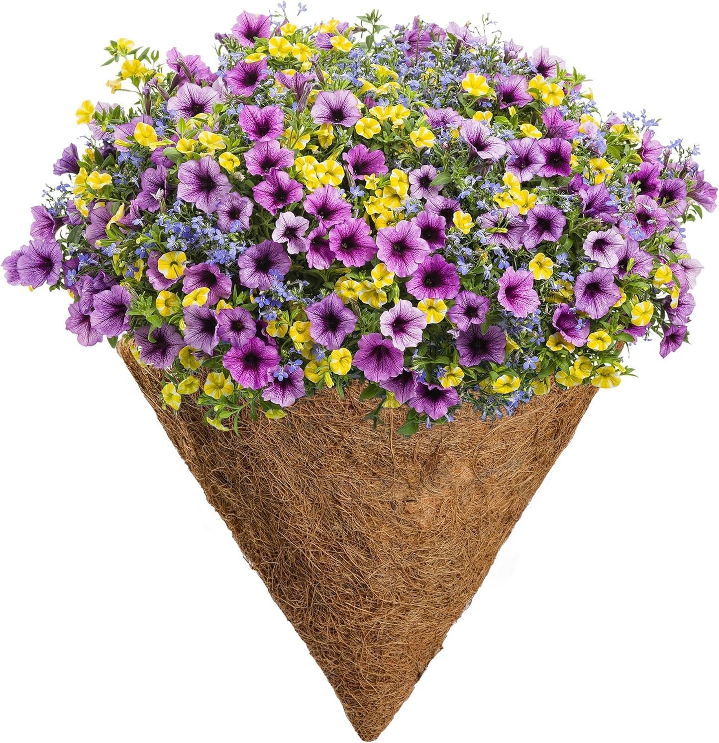 TINGMEI Pre-Formed Replacement Cone Shaped Coco Liner,Set of 2 (12 Inch)