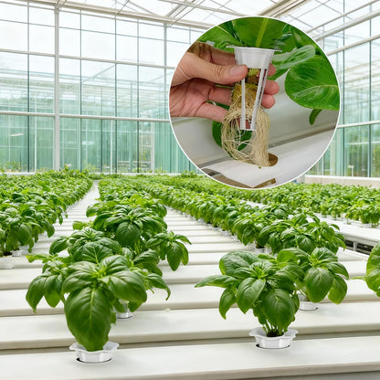 100 PCS Hydroponic Grow Baskets, Plastic Replacements Grow Basket Sets for Plant Hydroponics Garden Seed Pods System - Grow Anything