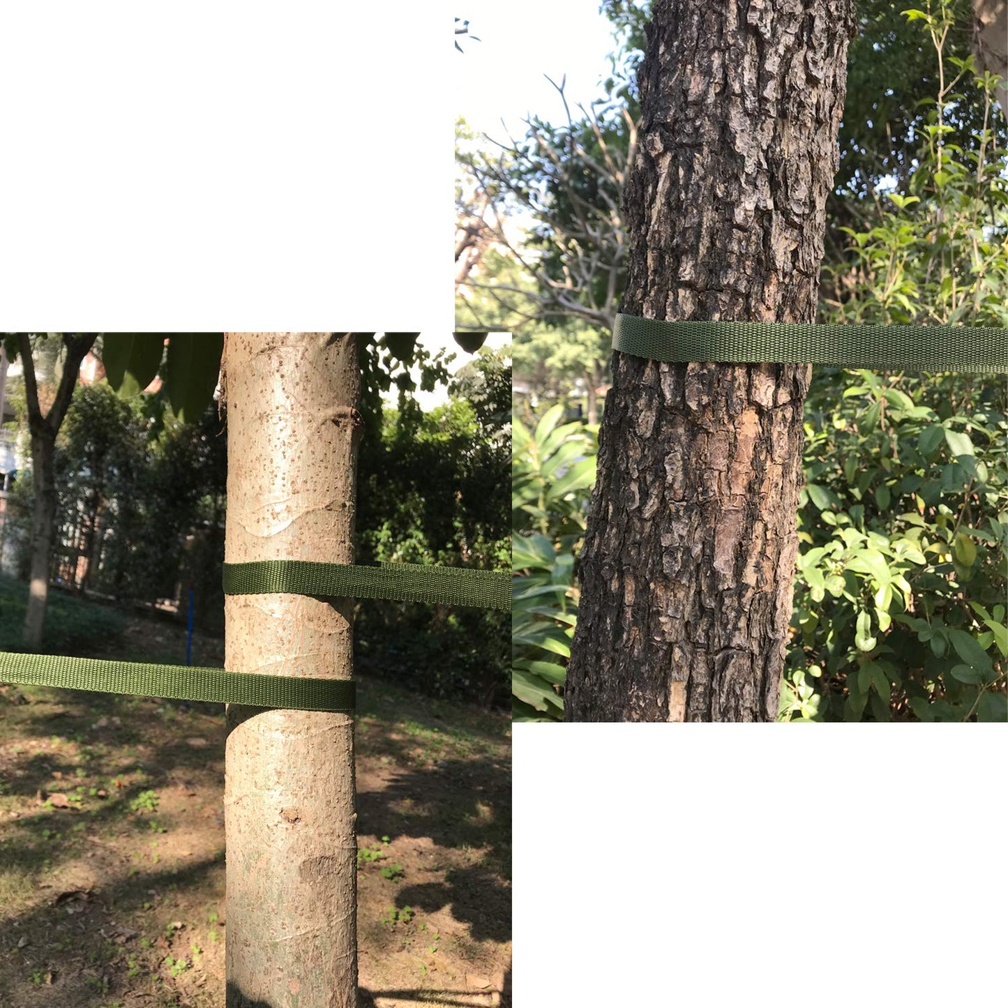 160FT Tree Tie Straps for Staking, Tree and Plant Supports for Effective Growing Green Blend in with Landscaping for Guying Young Trees Straight (1,850 Lbs Strength, Green)